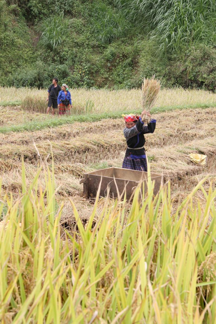 Với bàn tay khéo léo, sự nhẫn nại của người dân nơi đây chống chọi với khắc nghiệt của thiên nhiên...