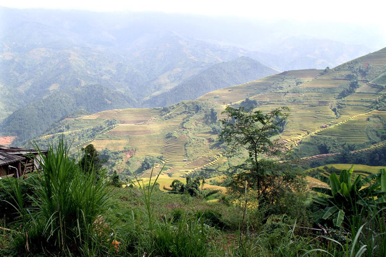 Với mùa gặt Mù Cang Chải, biết bao người khoác ba lô lên đường để cảm nhận bản tình ca Tây Bắc, để cảm nhận sự mộc mạc nhưng thân thương, để giữ trong lòng bao lưu luyến, nhớ thương lúc ra về, để hẹn gặp lại mùa vàng những lần sau.