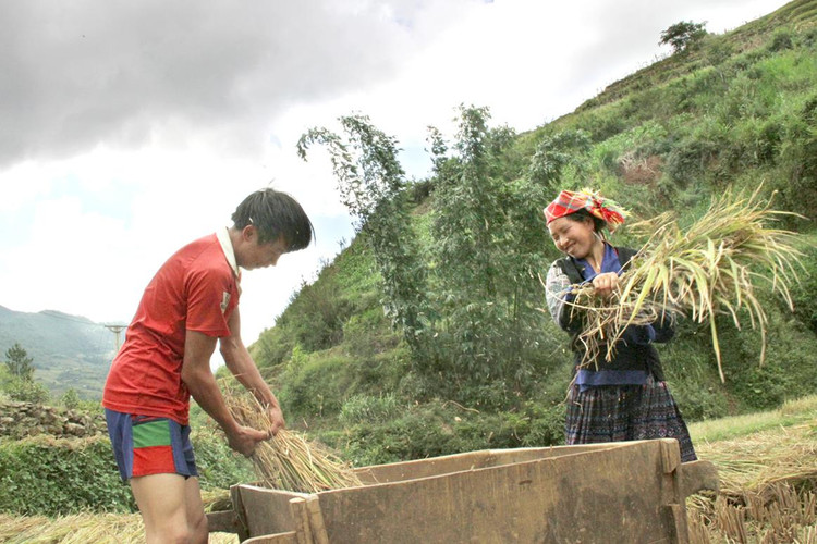 Đời sống của đồng bào thiểu số ngày nay đã tốt hơn xưa rất nhiều.