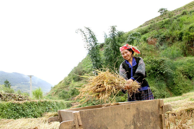 Người H’Mông được biết là rất hiếu khách, nụ cười luôn thường trực trên môi.