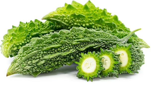 Mướp đắng là loại quả mang lại nhiều lợi ích cho sức khỏe - Ảnh minh họa