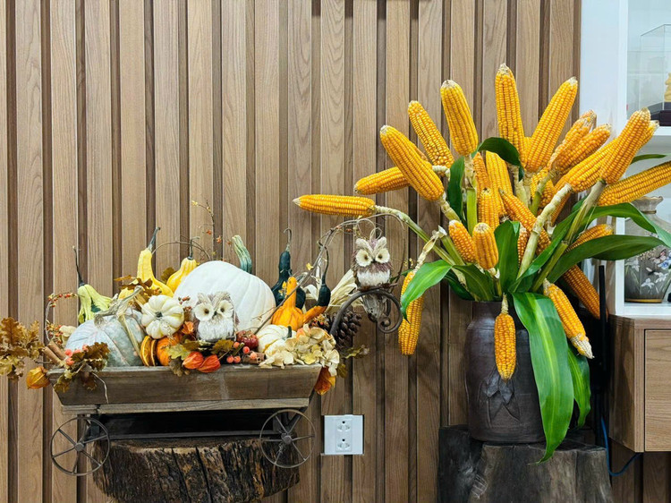 Ảnh: Cành bắp ngô đặt bên cạnh bí ngô và các sản phẩm Halloween khác rất phù hợp, tạo thêm vẻ ma mị trong set đồ trang trí.
