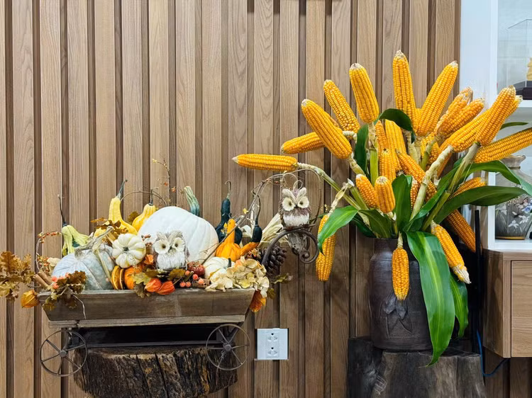 Ảnh: Cành bắp ngô đặt bên cạnh bí ngô và các sản phẩm Halloween khác rất phù hợp, tạo thêm vẻ ma mị trong set đồ trang trí.