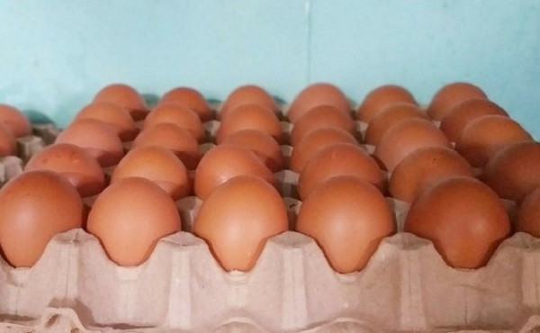 Trứng gà giá chỉ từ 1.500 đồng/quả. Ảnh minh họa