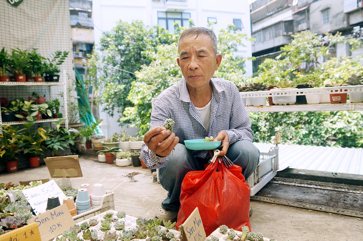 Ông Nguyễn Duy Linh cũng đang tìm cho mình một cây.