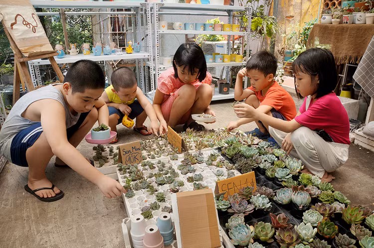 Các bạn nhỏ tỏ ra rất thích thú khi đổi từ những chai nhựa bỏ đi để lấy sen đá.