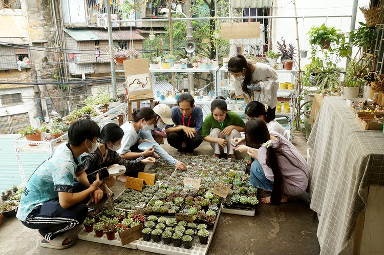Việc đổi chai nhựa cũ lấy sen đá đã thu hút rất nhiều bạn trẻ đến đây.