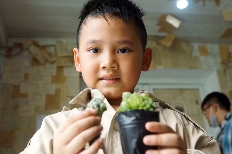 Sau khi được mẹ hướng dẫn, bé đã chọn được cây mà mình ưa thích.