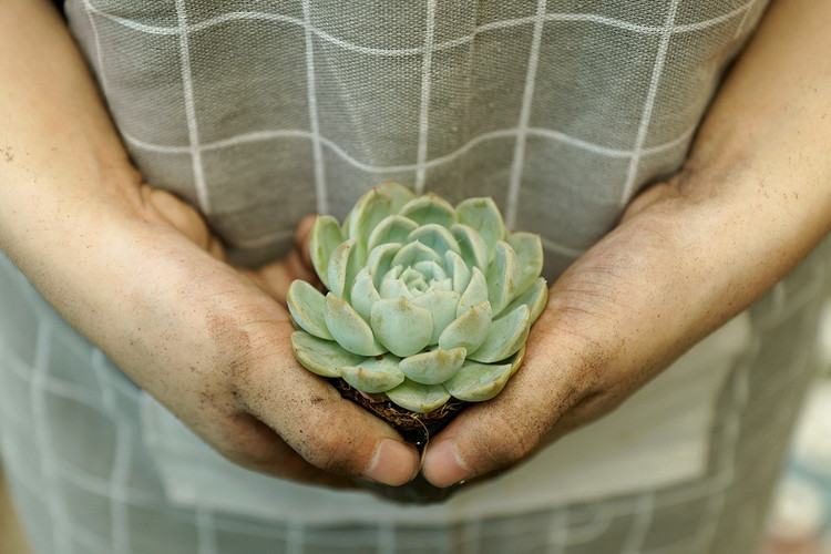 Hoạt động của Green Life nhằm khuyến khích mọi người giảm rác, thúc đẩy phân loại rác tại nhà để rác có thêm đời sống mới và giảm gánh nặng lên môi trường sống.