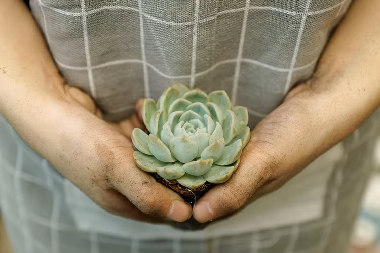 Hoạt động của Green Life nhằm khuyến khích mọi người giảm rác, thúc đẩy phân loại rác tại nhà để rác có thêm đời sống mới và giảm gánh nặng lên môi trường sống.