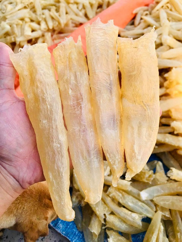 Ảnh: Bong bóng cá. Nguồn: IT.