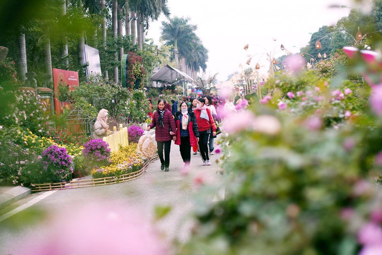 Người dân và du khách hòa mình vào thế giới các loài hoa.