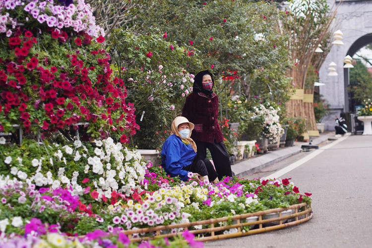 Cụ Lê Thị Tuấn 80 tuổi và cụ Lê Thị Gái 82 tuổi tại Văn Quán, Mê Linh nói: “ Từ bé đến giờ đây là lần đầu tiên mới thấy lễ hội hoa đẹp và vui như thế này trên chính quê hương Mê Linh. Tuổi cao rồi không biết chúng tôi còn được tham dự nhiều lễ hội như thế này nữa không”.