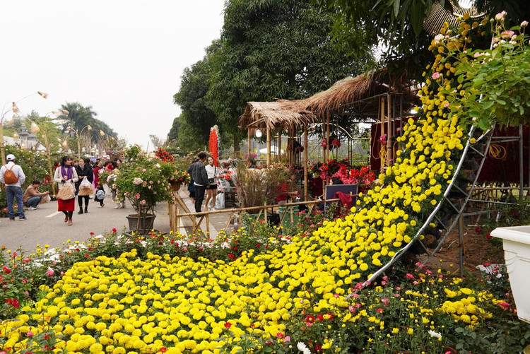 Đây là lần đầu tiên huyện Mê Linh tổ chức lễ hội hoa nhằm trưng bày, giới thiệu các loại hoa, sản phẩm từ hoa, cây cảnh của huyện tới các đại biểu, nhân dân và du khách thập phương.