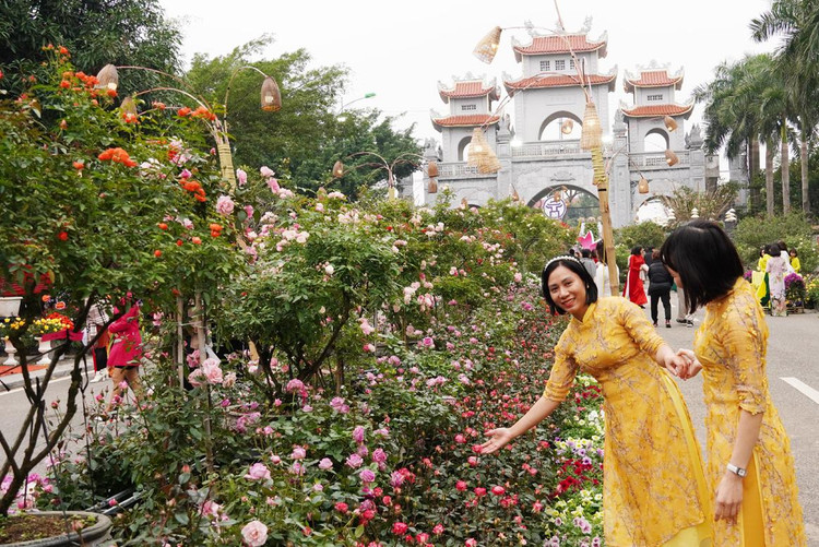 Bên cạnh hoa hồng, con đường hoa Mê Linh còn trưng bày nhiều loài hoa khác như: Dạ yến thảo, phong ngũ thảo, hoa lan, hoa trạng nguyên, hoa đồng tiền...