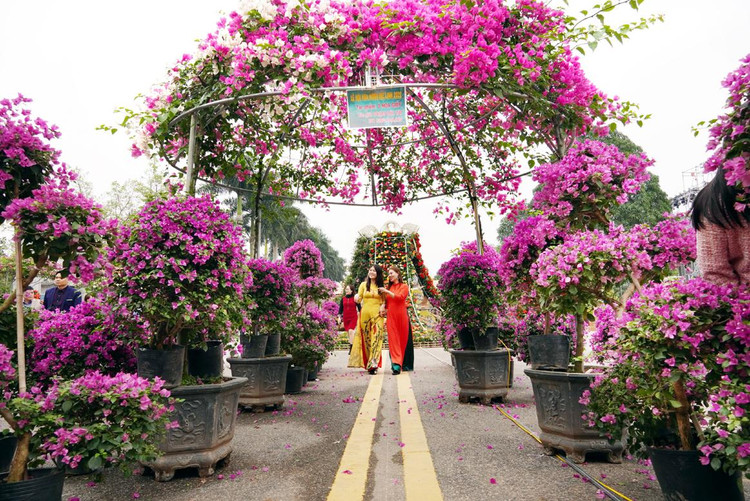 Nhiều người ở xa đã đến để chiêm ngưỡng vẻ đẹp của những loài hoa.