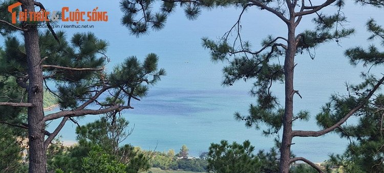 Khung cảnh đẹp như trong chuyện cổ tích, khiến du khách không nỡ rời bước.