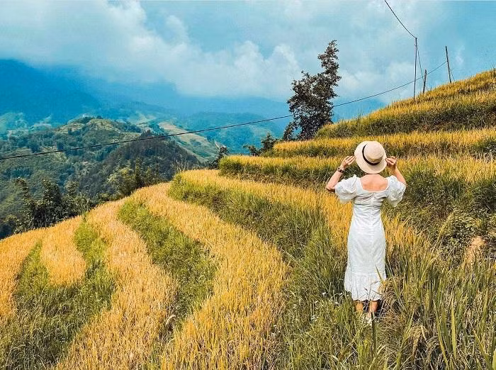 Nhắc tới điểm du lịch mùa lúa chín không thể bỏ qua Sa Pa. Vào độ tháng 9, tháng 10, nơi đây lại đón lượng khách nhiều nhất. Ảnh: phananh0104