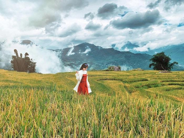 Một trong những điểm du lịch mùa lúa chín đẹp nhất miền Bắc khác chính là Y Tí (Lào Cai). Ảnh: Hoài Anh