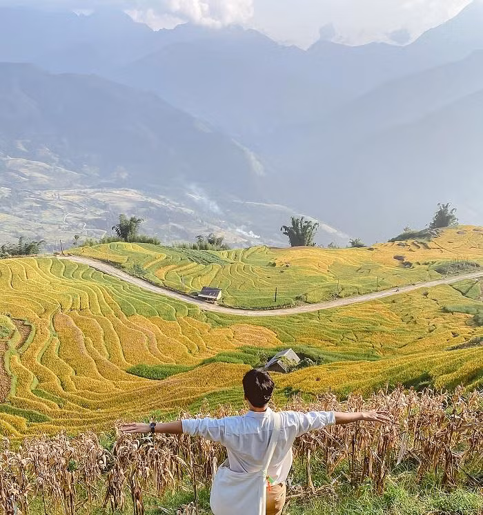 Mỗi khi lúa vào mùa chín, cả bầu trời Y Tí như được thay lớp áo mới, rực rỡ và khởi sắc hơn bao giờ hết. Ảnh: Mạnh Tiến Khôi