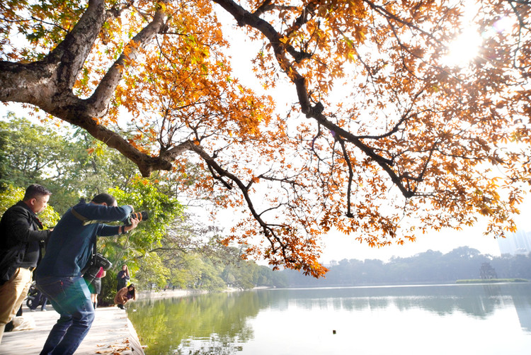 Các nhiếp ảnh gia đã có mặt nơi đây để sáng tác khoảnh khắc vàng mùa thay lá.