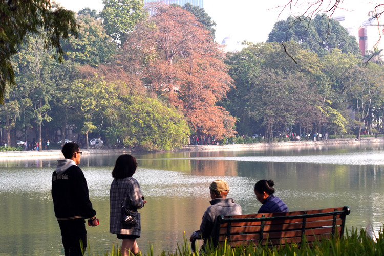 Hình ảnh đẹp thơ mộng của Hồ Gươm cùng với cây mõ thay lá vàng thu hút sự chú ý của các bạn trẻ và người dân Thủ đô.