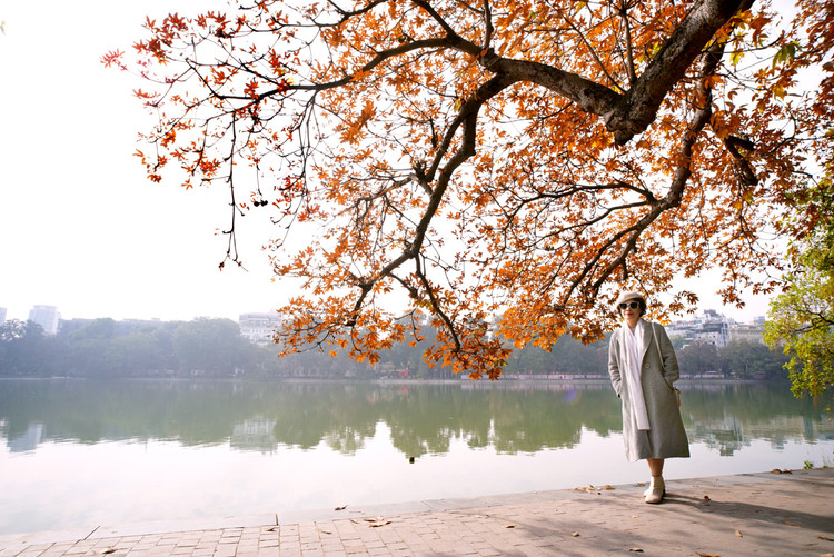 Khoảnh khắc mùa thu Châu Âu trong ngày đông Hà Nội.