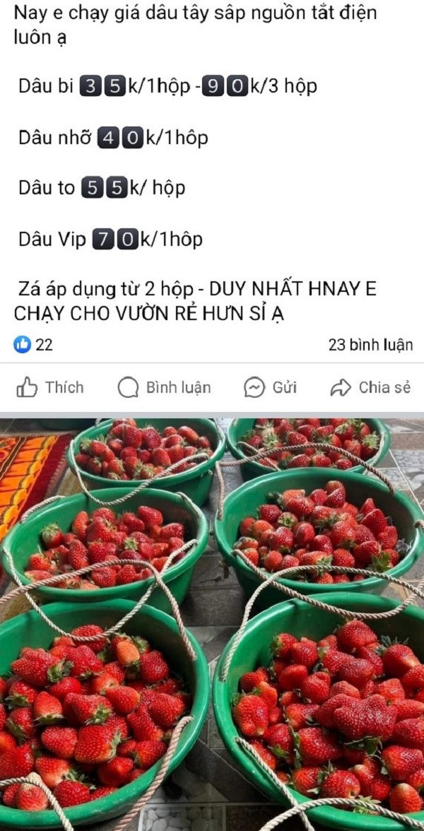 Ảnh 1: Một trang Facebook rao bán dâu tây giá rẻ.