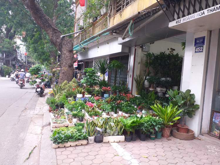 Rất mong cơ quan chức năng, chính quyền các địa bàn cần phải quyết liệt hơn nữa trong việc ra quân lập lại trật tự đô thị.