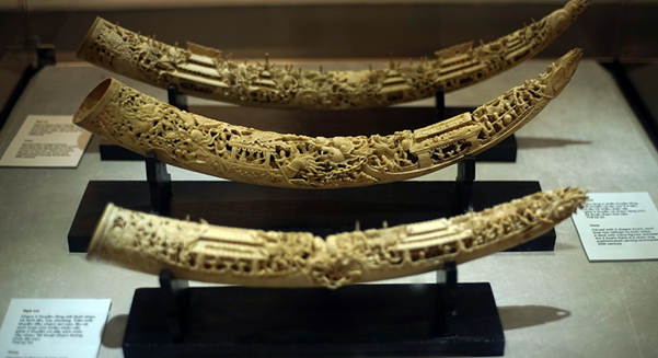 Ba chiếc ngà voi được chạm khắc hết sức tinh xảo.