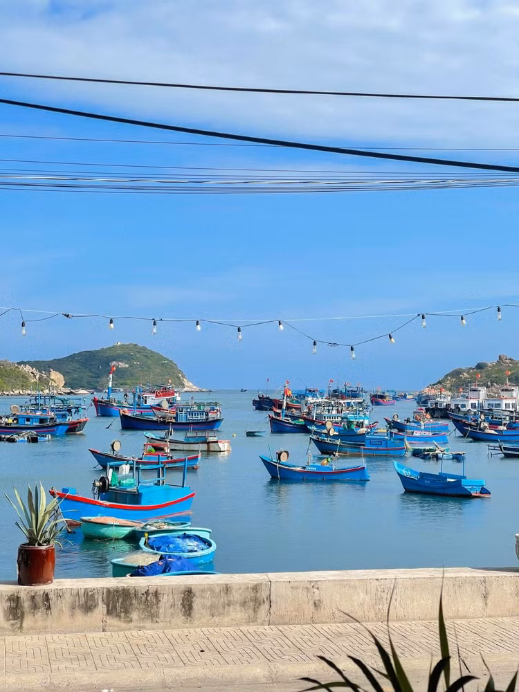 Làng chài Vĩnh Hy - Ảnh Phương Tali