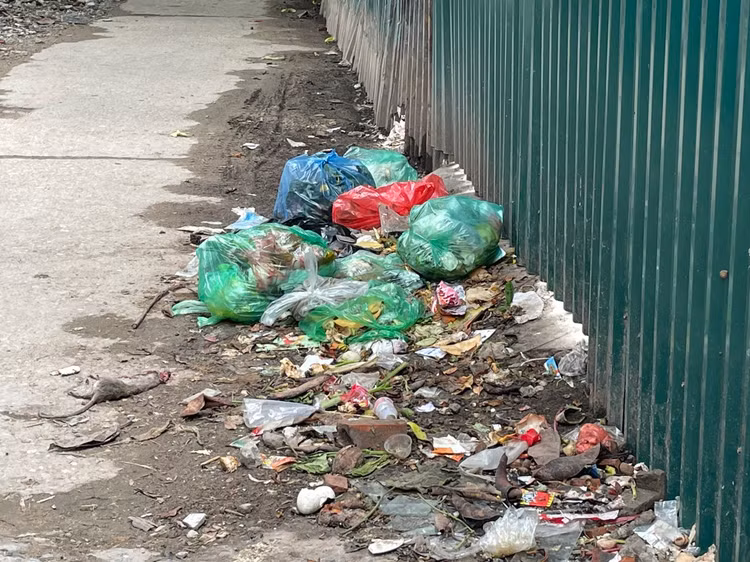 Ngõ 61 Giang Văn Minh được xác định trong dự án cống hóa mương Kẻ Khế cũng chung cảnh nhếch nhác, bẩn thỉu.