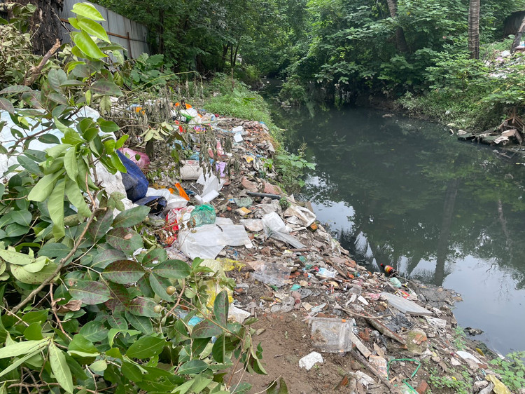 Người dân tại khu vực đặt biển cấm đổ rác. Tuy nhiên, những biển này dường như bị phớt lờ. Bằng cách nào đó, rác vẫn được vứt dọc bờ mương.