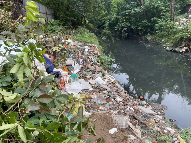 Người dân tại khu vực đặt biển cấm đổ rác. Tuy nhiên, những biển này dường như bị phớt lờ. Bằng cách nào đó, rác vẫn được vứt dọc bờ mương.