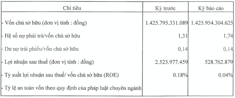 Một số chỉ tiêu tài chính của Địa ốc Hưng Phú