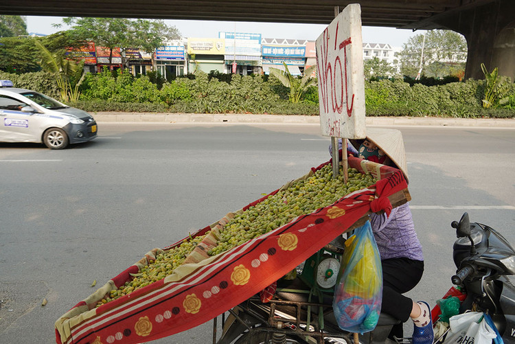 Xe bán nhót dạo đầu mùa trên đường Nguyễn Xiển.