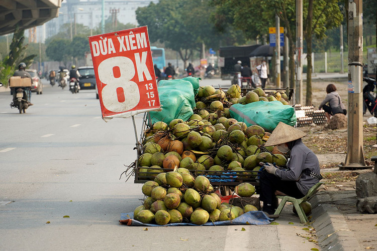 Tuy nhiên trên các đường lớn, những người bán hàng hoa quả lại đỗ cố định dưới đường để bán hàng.