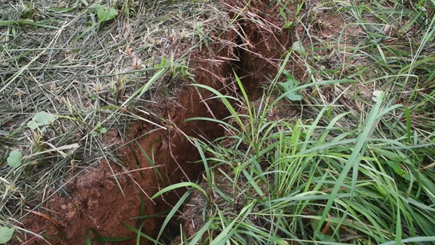 Vết nứt trên đỉnh đồi tại Trạm Khí tượng Trà My có nguy cơ sạt lở làm ảnh hưởng đến an toàn, ổn định của công trình Kè sông Trường.