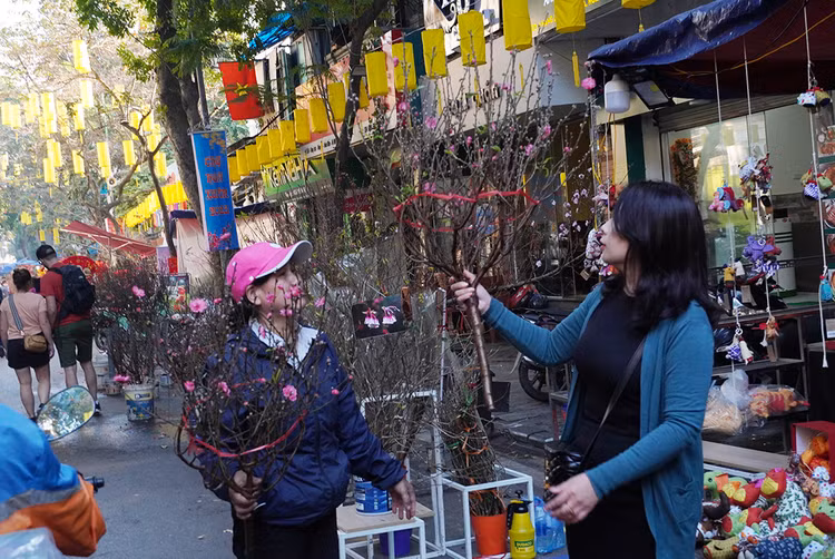 Chợ hoa Hàng Lược trước đây chủ yếu bán đào, quất, violet, thược dược...