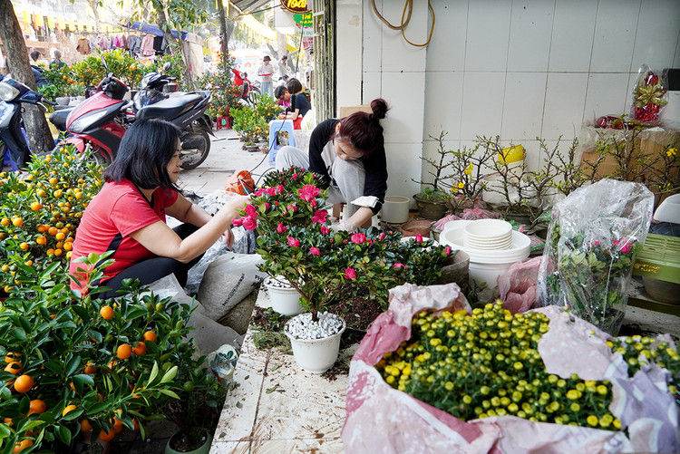 Nay do nhu cầu của người dân nên đã có thêm nhiều loại hoa khác như hoa đỗ quyên, hoa nhất chi mai...