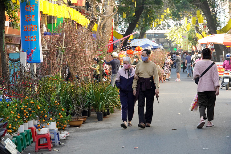 Người Hà Nội, nhất là những người cao tuổi, thường thích ngắm phố hoa Hàng Lược vào mỗi dịp xuân về.