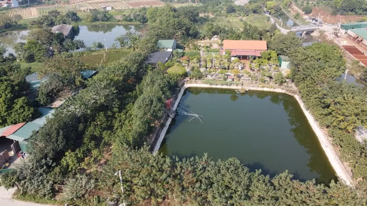 Công trình nhà ở cấp 4 kiên cố, một trong số đó được thiết kế ao vườn như khu nghỉ dưỡng.