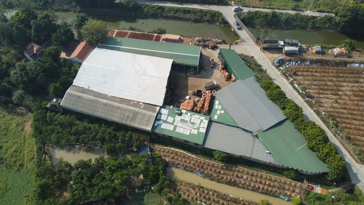 Theo Chủ tịch UBND phường Đình Bảng, hầu hết những trường hợp sử dụng chưa đúng mục đích đất đều tồn tại từ lâu.