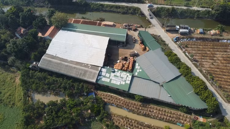 Theo Chủ tịch UBND phường Đình Bảng, hầu hết những trường hợp sử dụng chưa đúng mục đích đất đều tồn tại từ lâu.