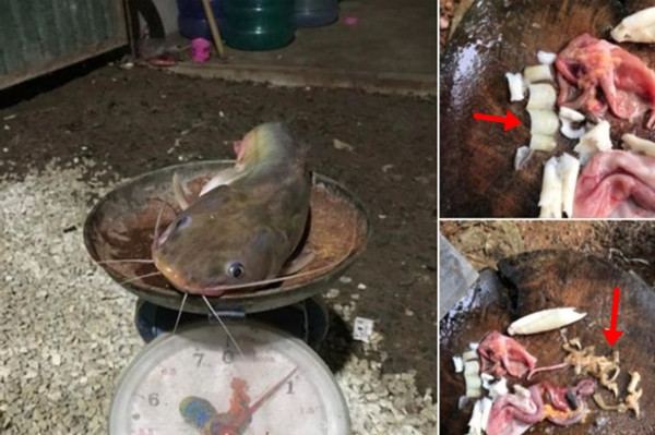 Những hình ảnh được anh Tharadol Fom đăng tải khiến dư luận xôn xao.