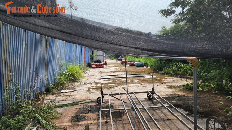 Phía sau Quảng trường Võ Nguyên Giáp thành phố Thái Nguyên rác vương vãi khắp nơi, cỏ dại mọc chen chân trong kẽ bê tông.