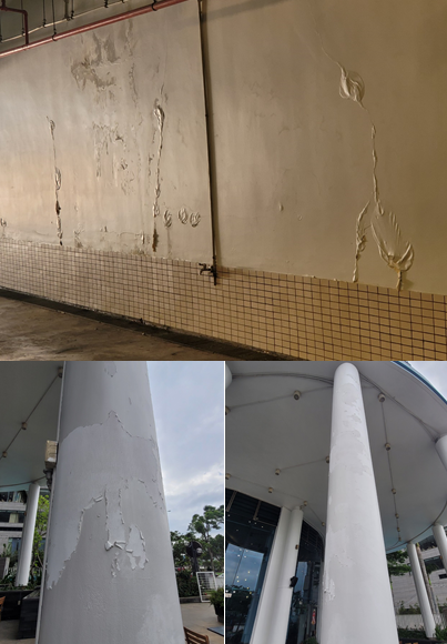 Tòa nhà vừa được sơn và chống thấm nhưng đã bị bong tróc, hư hỏng chỉ sau 3 tháng đưa vào sử dụng (ảnh cư dân cung cấp)