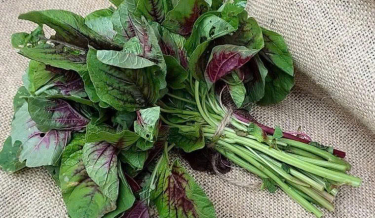 Rau dền là một loại rau phổ biến trong thực đơn hàng ngày - Ảnh minh họa