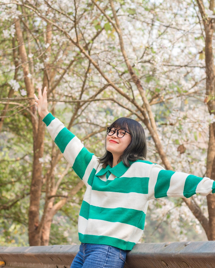 Thưởng ngoạn sắc ban tinh khôi Điện Biên. Ảnh Yến Vi Vu