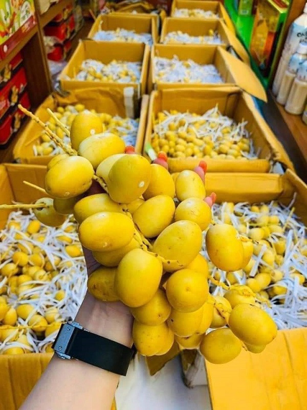 Chà là tươi nhập khẩu từ Thái Lan